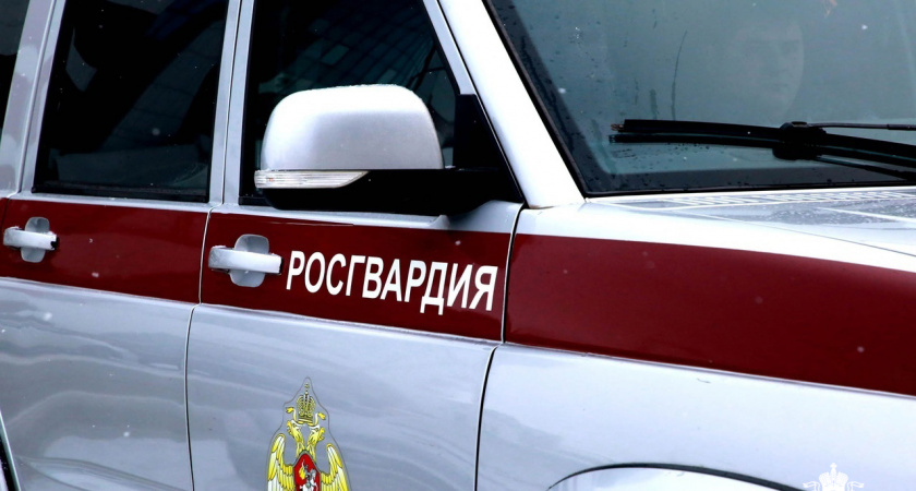 В Саранске задержали мужчину, разбившего лобовое стекло чужого автомобиля