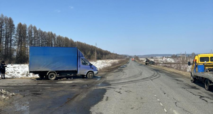 На трассе в Мордовии в ДТП попали «Нива» и грузовая «ГАЗель» 