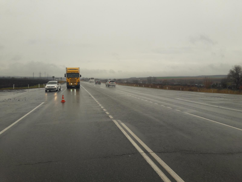 На трассе в Мордовии насмерть сбили пешехода, перебегавшего дорогу