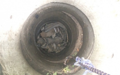 В Саранске сотрудники МЧС спасли собаку, которая провалилась в заброшенный колодец