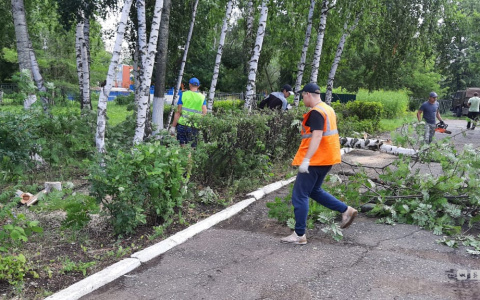 Коммунальщики работали всю ночь: в Саранске продолжают ликвидировать последствия бури