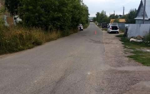 Неожиданно выбежал на дорогу: в Мордовии пятилетний мальчик попал под колеса авто