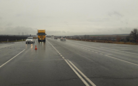 На трассе в Мордовии насмерть сбили пешехода, перебегавшего дорогу