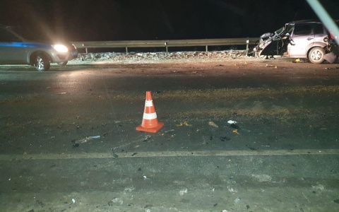 В Мордовии в ДТП на «встречке» погиб водитель иномарки