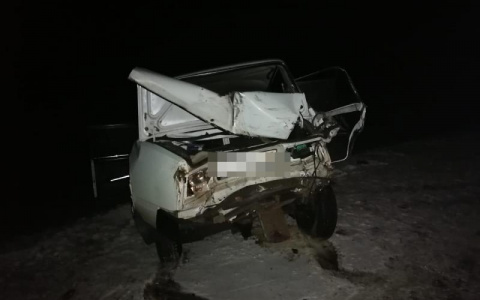 В Мордовии после ДТП автомобиль отбросило на молодого человека: он госпитализирован