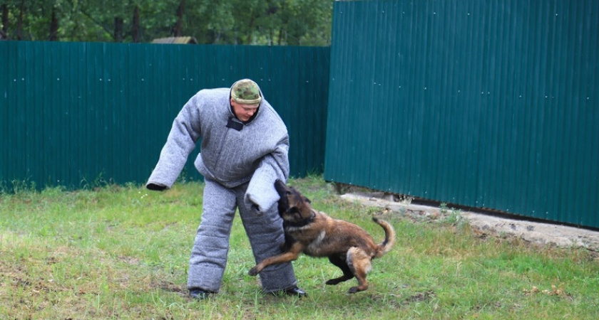В Мордовии 16 кинологов и собак приняли участие в соревновании на первенство УФСИН