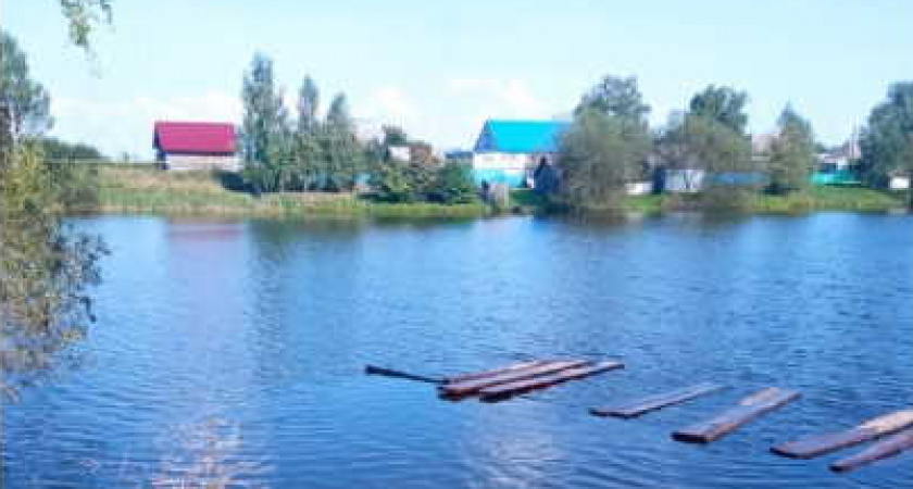 В Атюрьевском районе в пруду утонул 56-летний мужчина