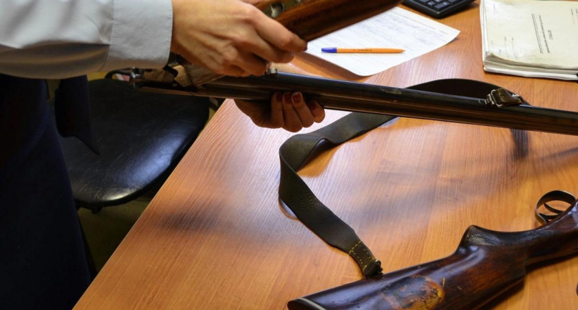 В Мордовии изъяли 10 единиц оружия за минувшую неделю