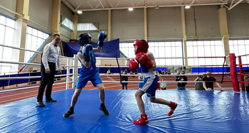В Саранске прошел Первый турнир по боксу в поддержку ветеранов СВО
