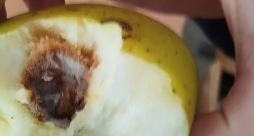 Ученики саранской школы №22 пожаловались на гнилые фрукты