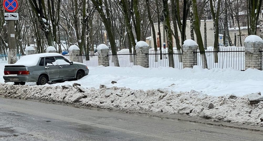 1 февраля в Мордовии ожидается мокрый снег и до +2
