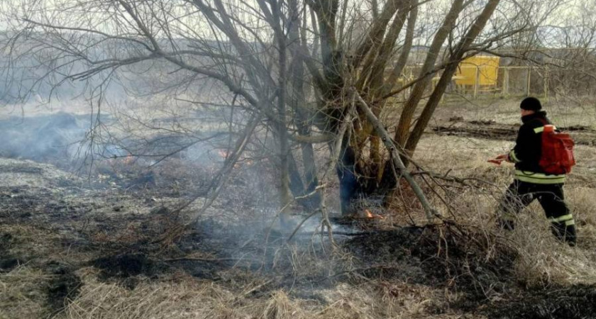 Пожарные Мордовии 20 раз тушили горящую траву в апреле