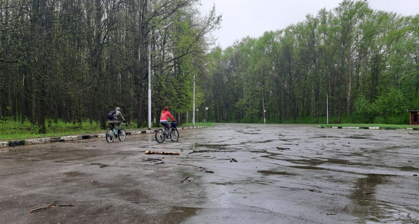 В Мордовии ожидаются потепление и дожди из-за североатлантического циклона