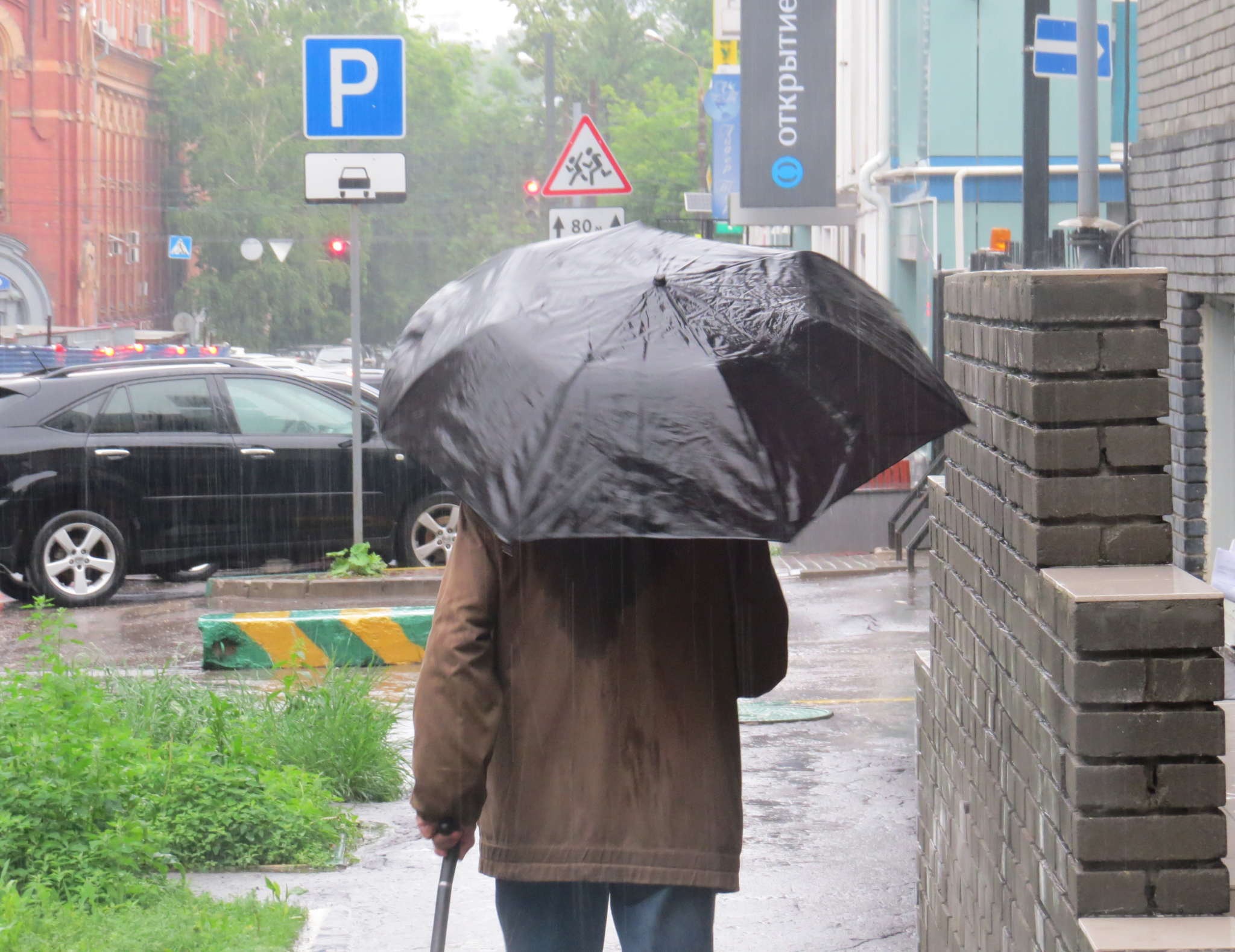 Что ждать жителям Саранска от погоды в понедельник?