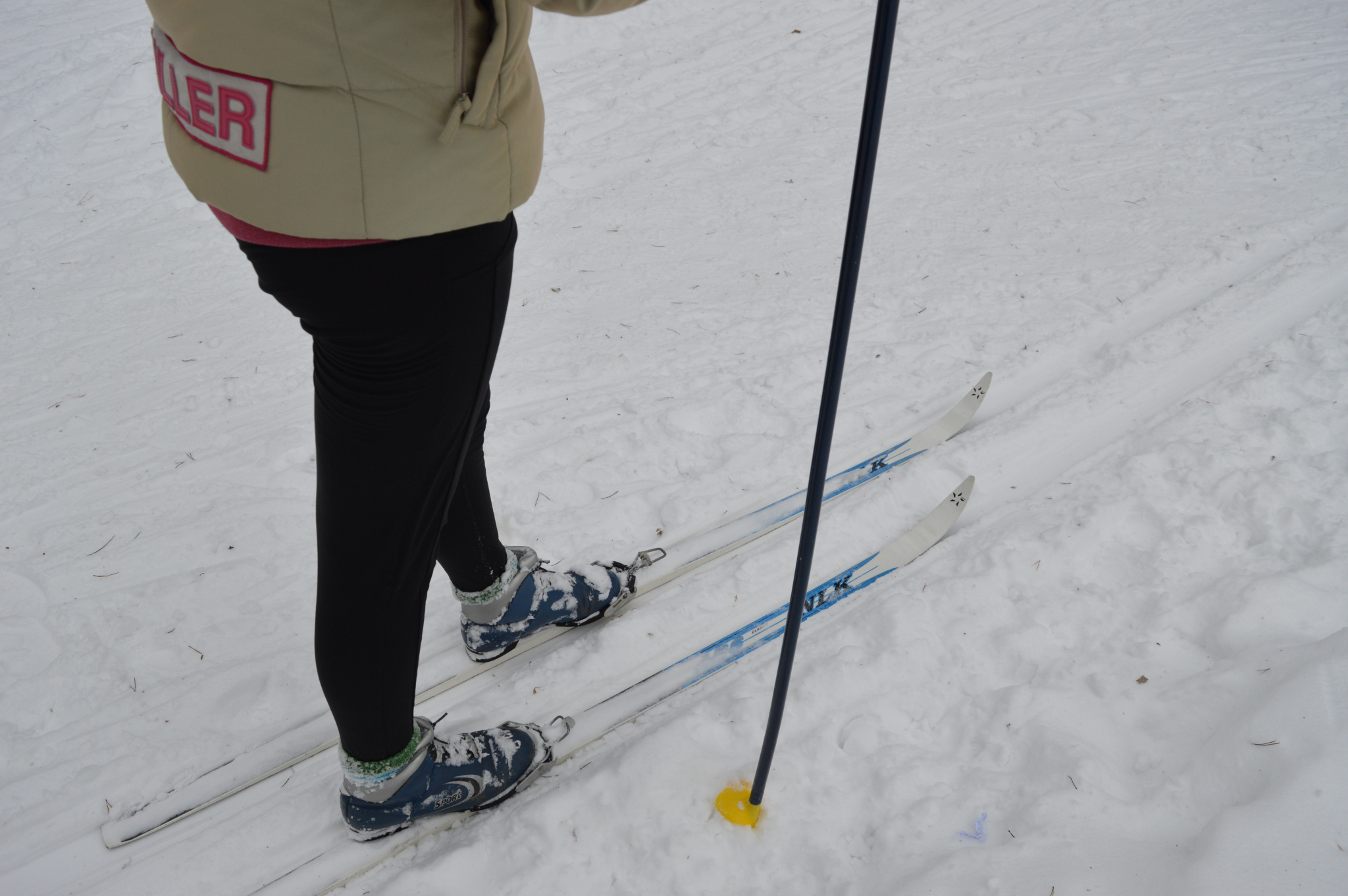 Стало известно, сколько в этом сезоне в Саранске будет катков и лыжных баз