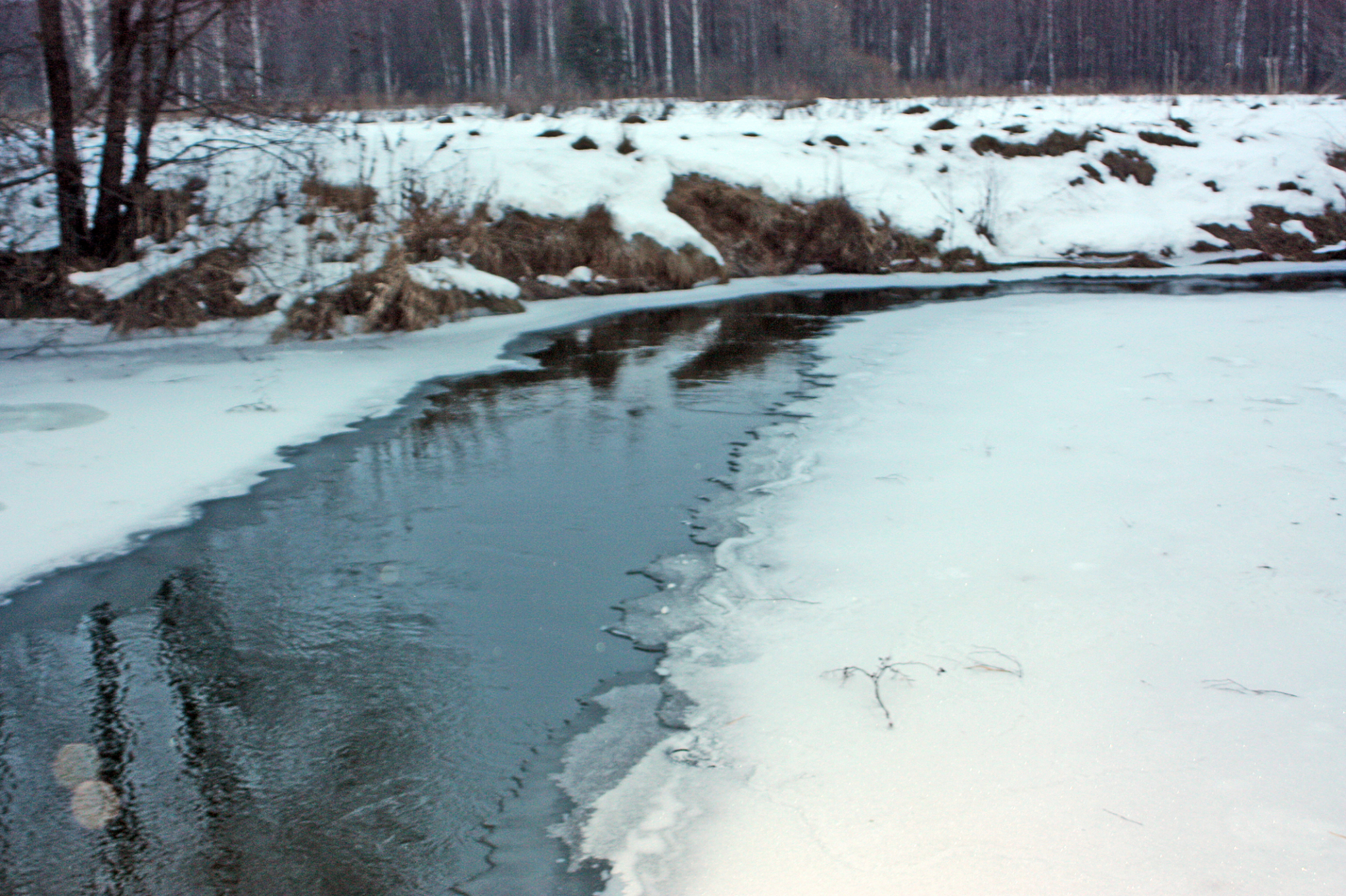 В МЧС Мордовии рассказали о способах спасения в случае провала под лед