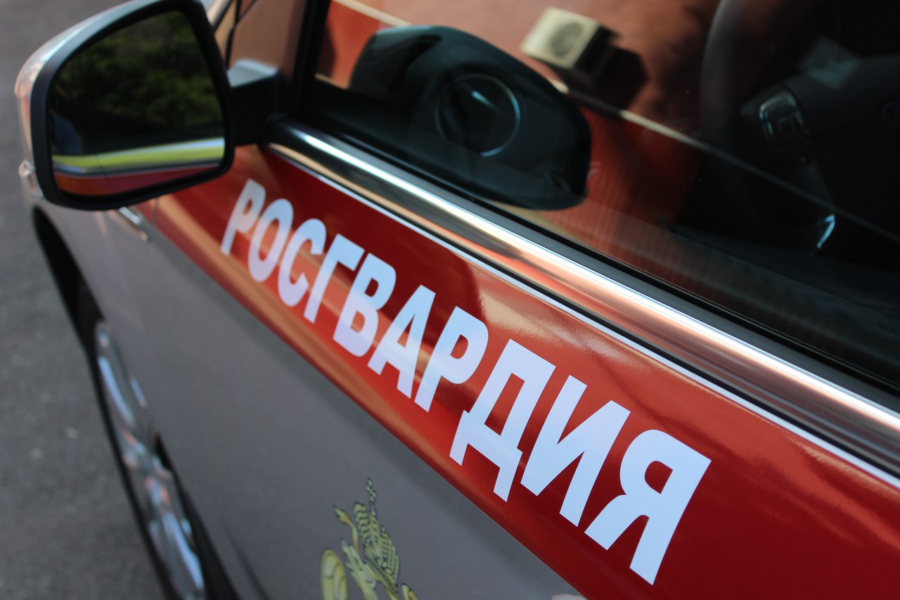 В Мордовии росгвардейцы устроили погоню за автоугонщиками