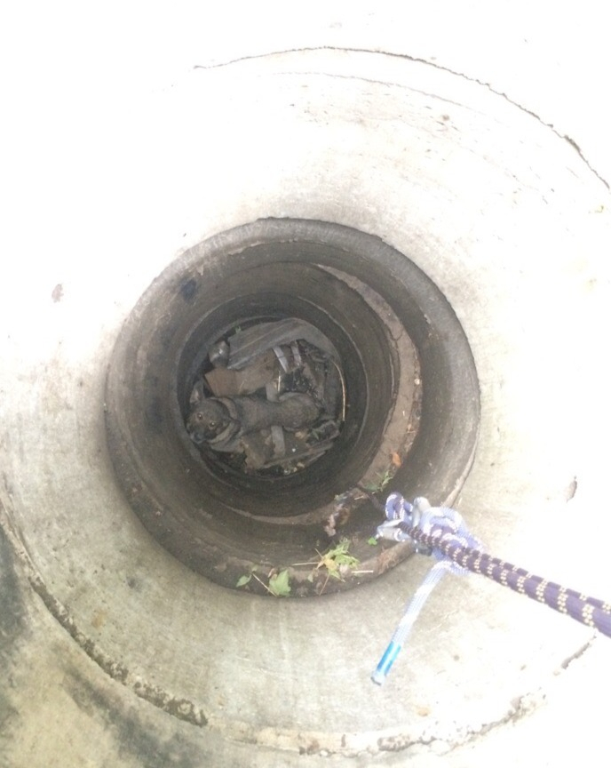 В Саранске сотрудники МЧС спасли собаку, которая провалилась в заброшенный колодец