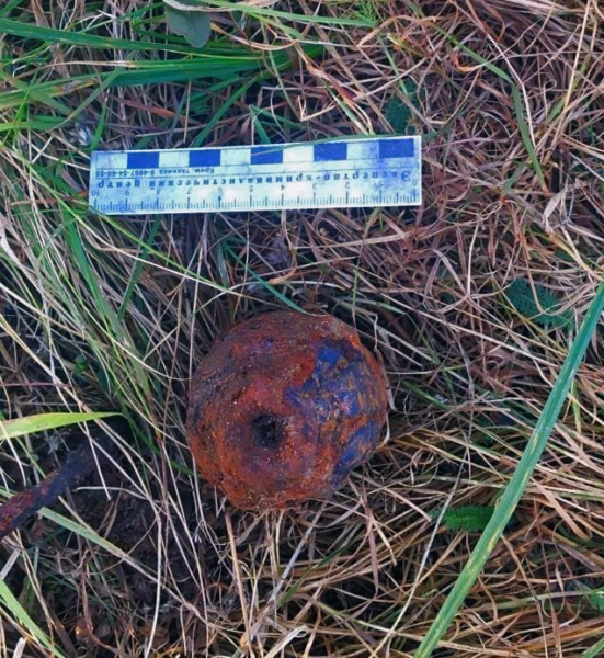 Житель Мордовии нашел гранату в своем огороде