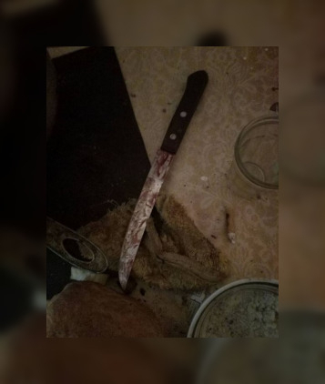 В Мордовии гость оскорбил хозяина дома и получил три ножевых ранения