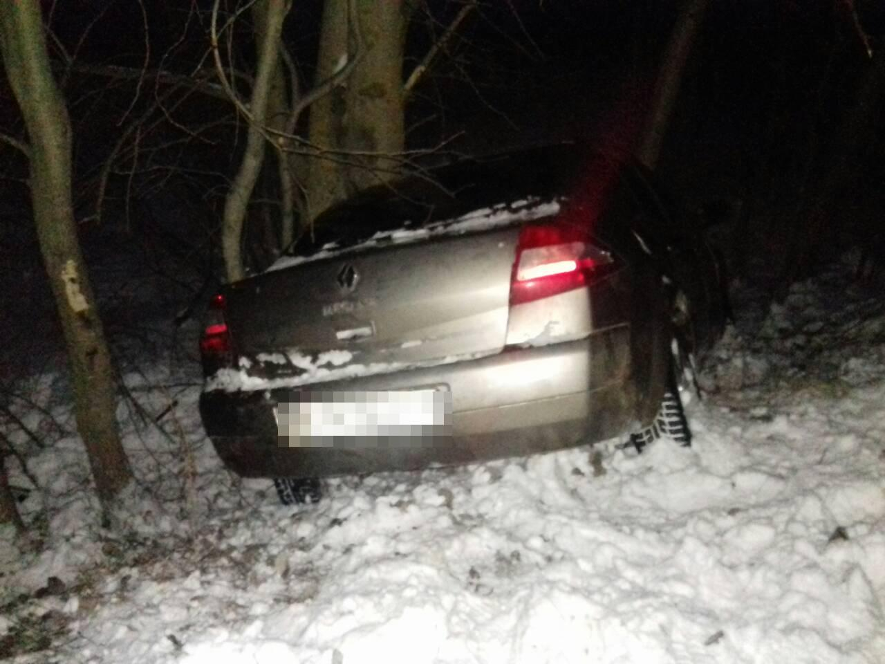 В Мордовии водитель без прав съехал в кювет и врезался в дерево (фото)