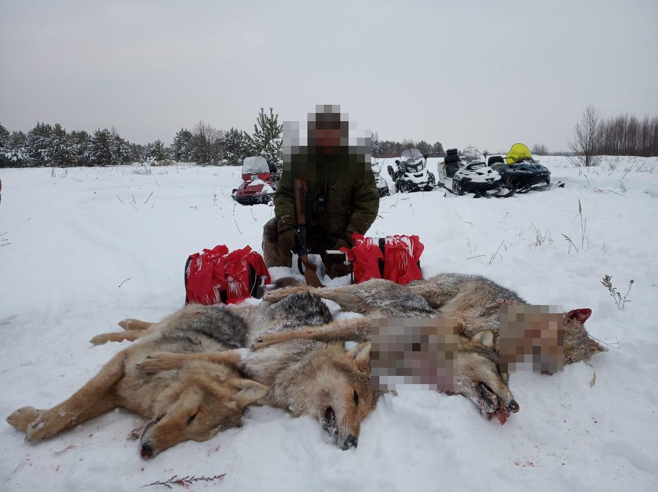 В Мордовии охотники ликвидировали стаю из семи волков