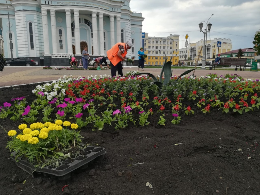 Саранск начали украшать цветами