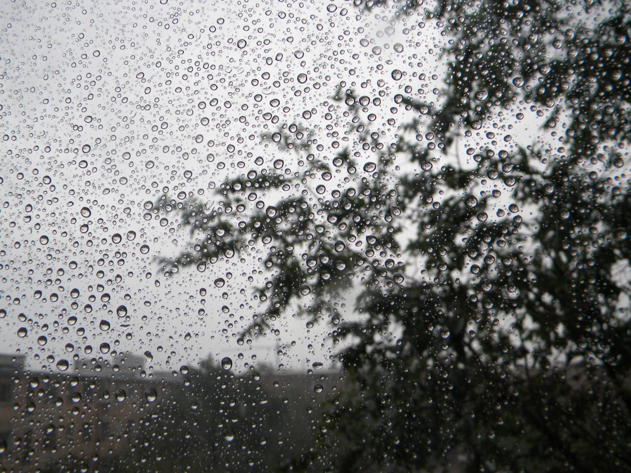 Дождь и сильный ветер. Прогноз погоды в Саранске на 5 августа