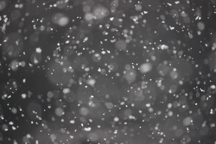 Ветер и мокрый снег: Прогноз погоды в Саранске на 31 октября