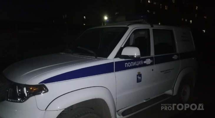 В Мордовии задержали мужчину, который пытался утащить из парка 500 кг металла
