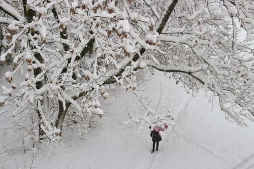Синоптики пообещали россиянам, что февраль будет похож на зиму