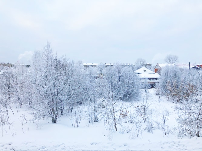 В воскресенье в Саранске закружат метели: прогноз погоды на 26 января