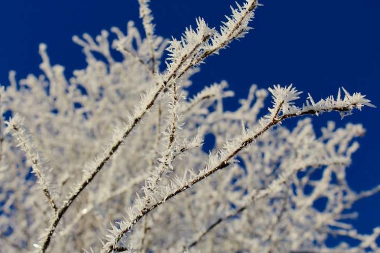 Легкий мороз и снег: прогноз погоды в Саранске на 29 января