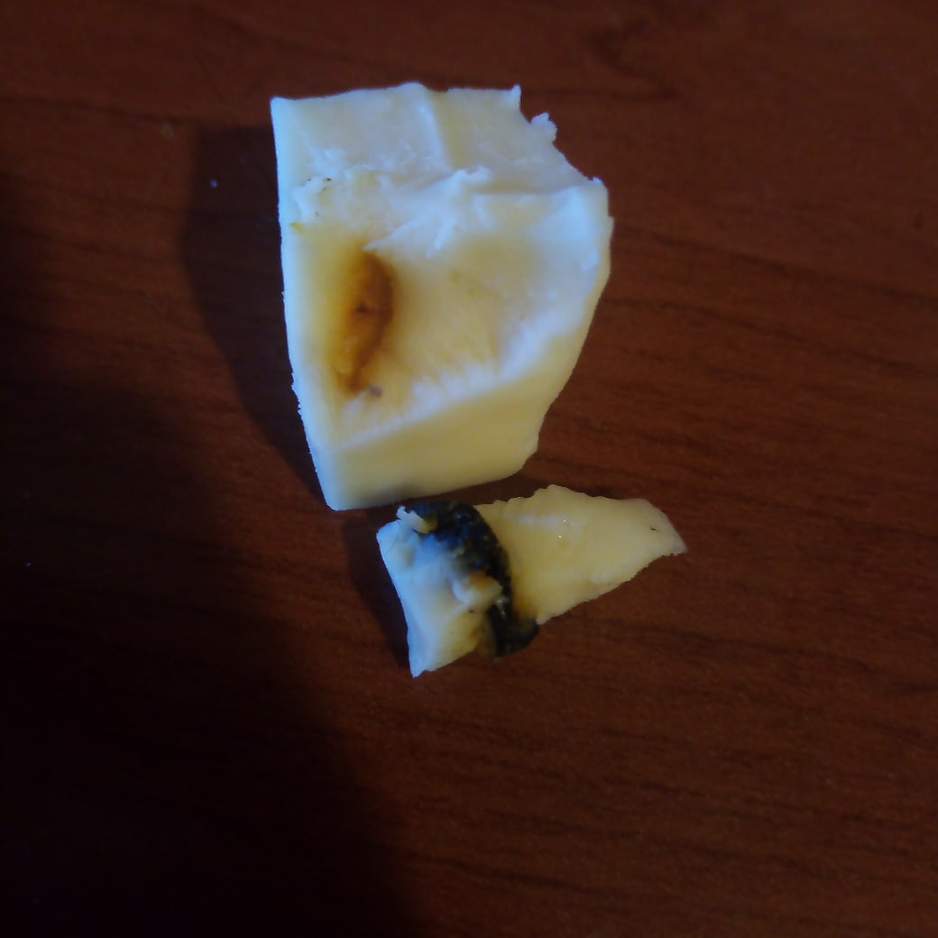 В Саранске женщина купила сыр с тараканом внутри