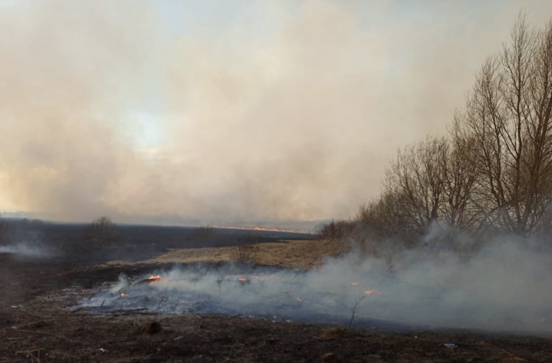 Особый противопожарный режим введен в Мордовии