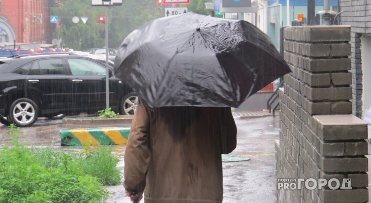 Синоптики рассказали о погоде в Саранске 26 апреля