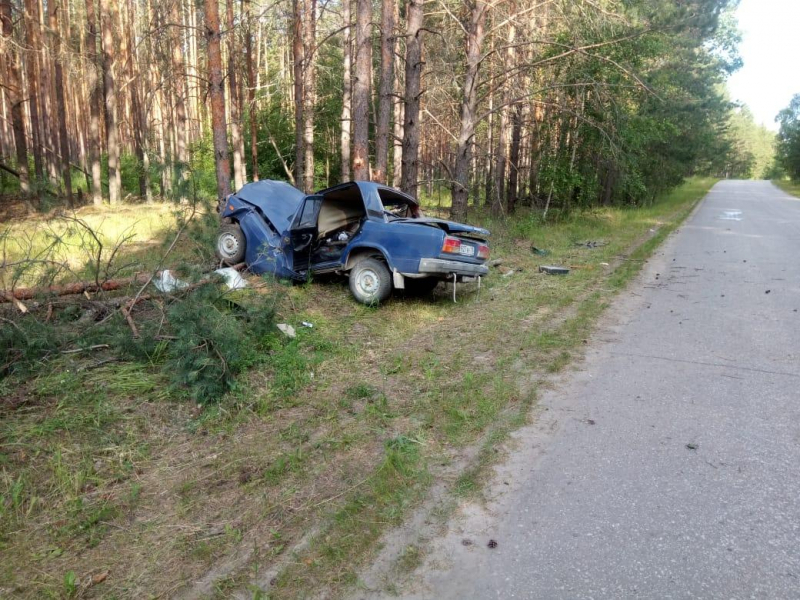 Водитель «ВАЗа» слетел с дороги и врезался в дерево в Мордовии