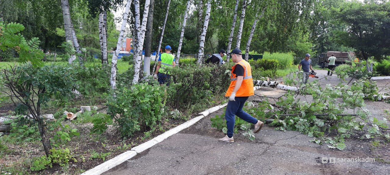 Коммунальщики работали всю ночь: в Саранске продолжают ликвидировать последствия бури