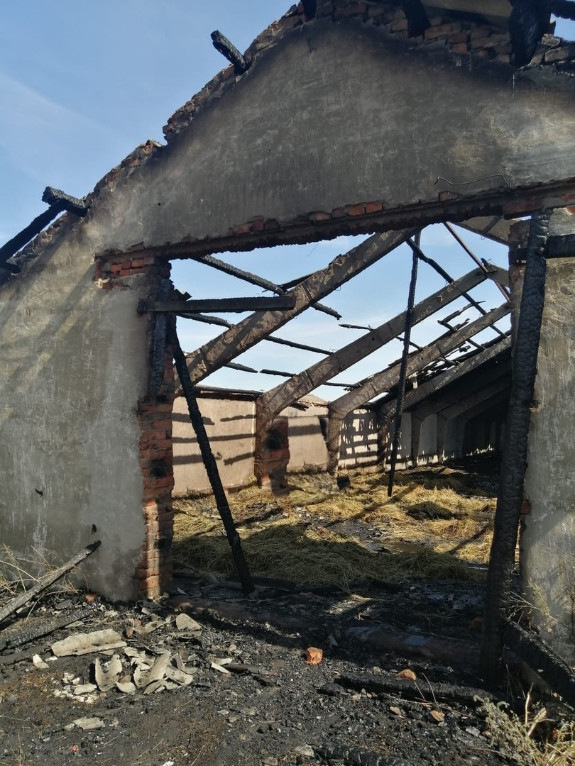 Пожар в Мордовии: подросток получил сильные ожоги ног