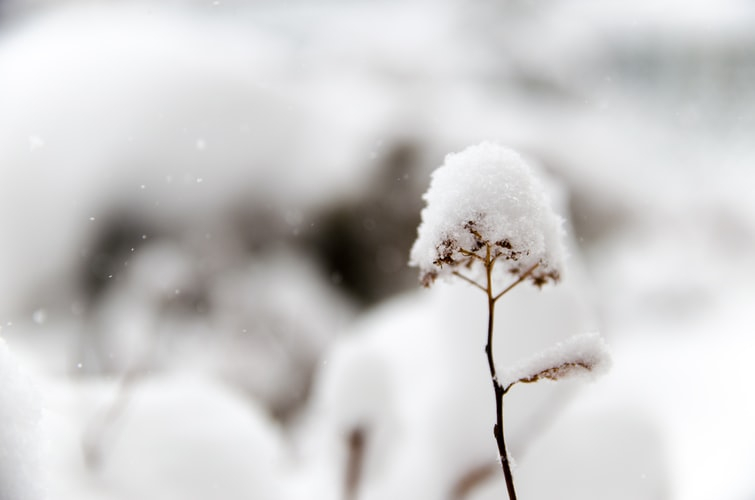 Снова снег: синоптики рассказали о погоде в Саранске на 26 ноября