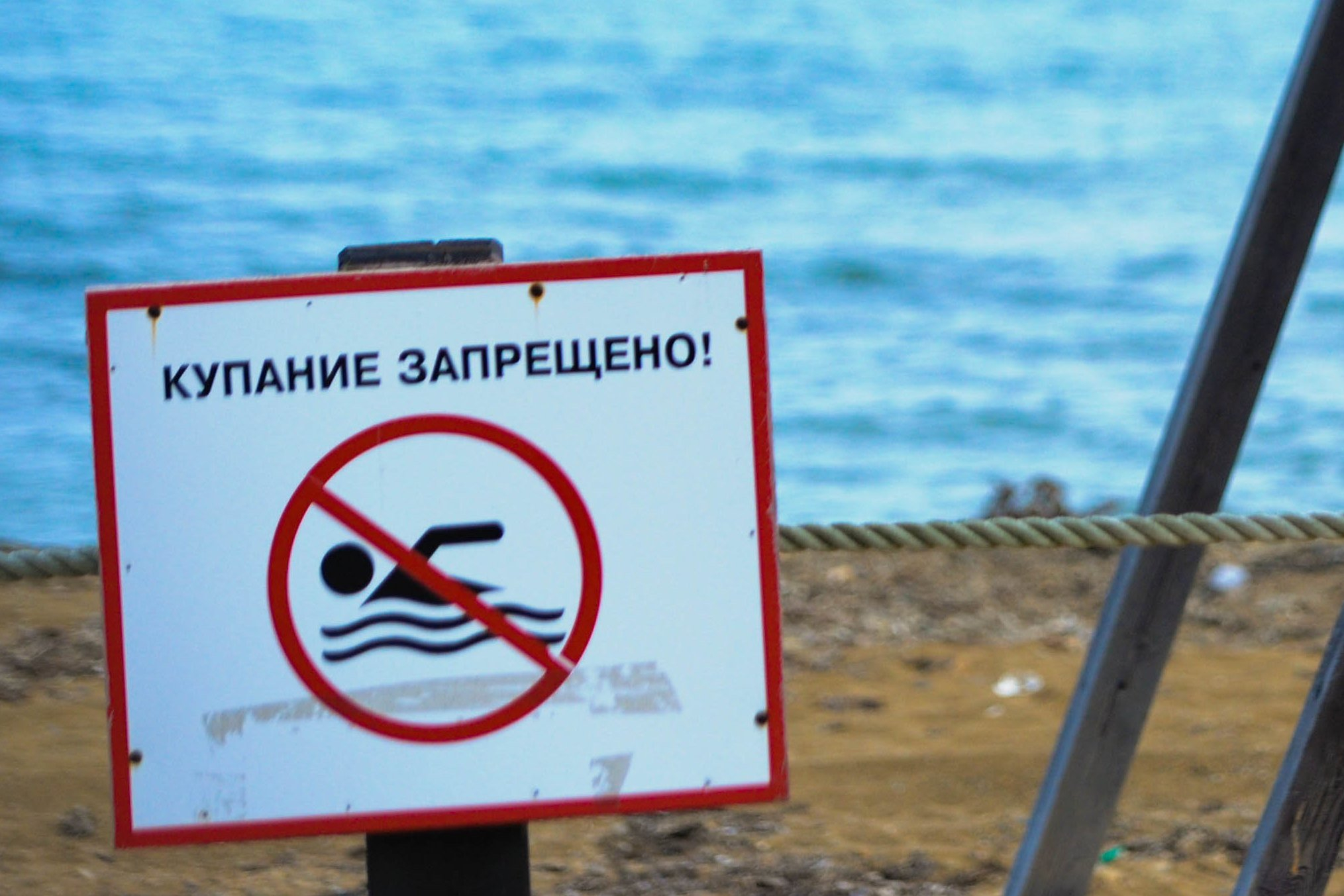 Роспотребнадзор запретил купаться в двух водоемах Саранска из-за плохого качества воды