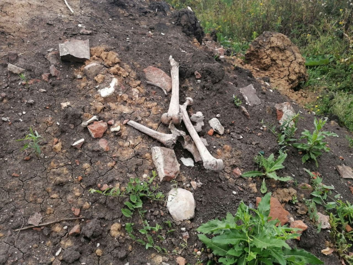 Жительница Саранска обнаружила человеческие останки в ТЭЦ-2