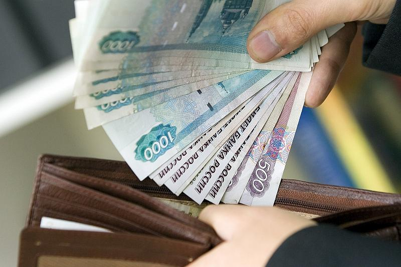 Среднедушевой доход в Мордовии хотят увеличить до 31 тысячи рублей