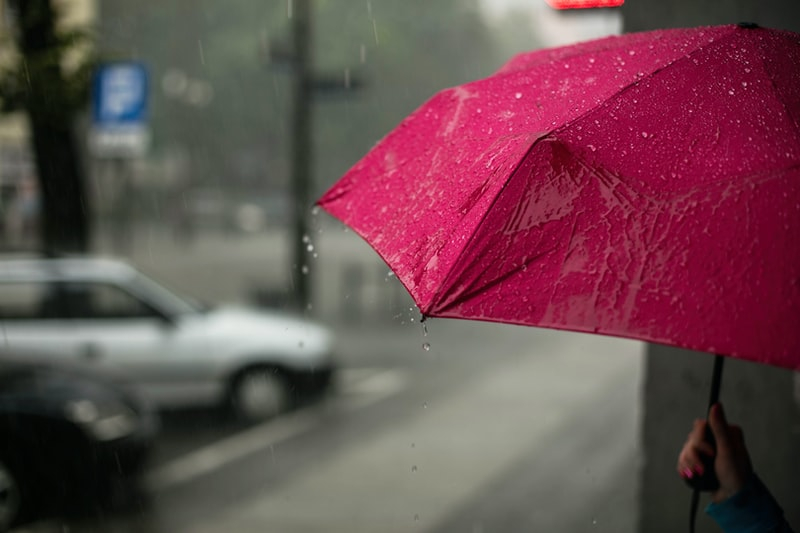 Рабочая неделя в Мордовии начнется с дождя и похолодания