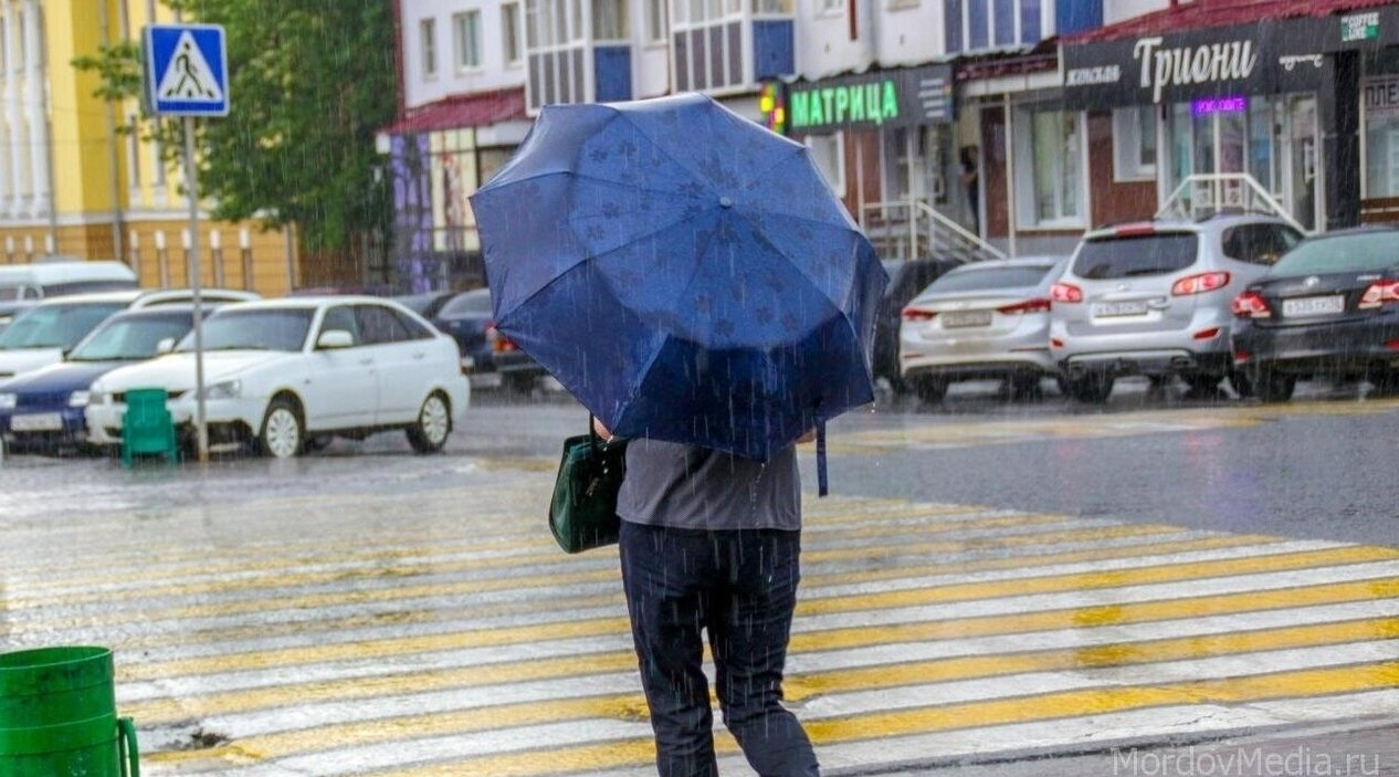 В Мордовии 4 ноября ожидаются дожди