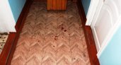 В Мордовии 20-летний студент устроил поножовщину в общежитии 