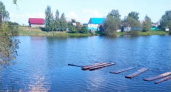 В Атюрьевском районе в пруду утонул 56-летний мужчина