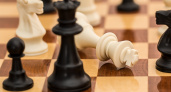 В Зубовой Поляне прошел шахматный турнир