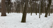 2 февраля в Мордовии ожидается небольшой снегопад и до +2