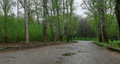 15 апреля в Мордовии ожидается небольшой дождь и до +14